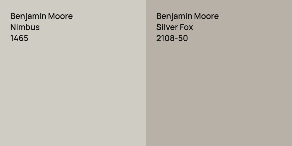 Benjamin Moore Nimbus vs. Benjamin Moore Silver Fox