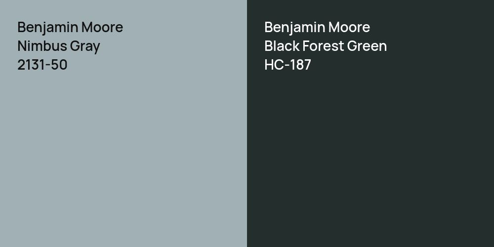 Benjamin Moore Nimbus Gray vs. Benjamin Moore Black Forest Green