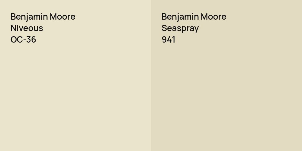 Benjamin Moore Niveous vs. Benjamin Moore Seaspray