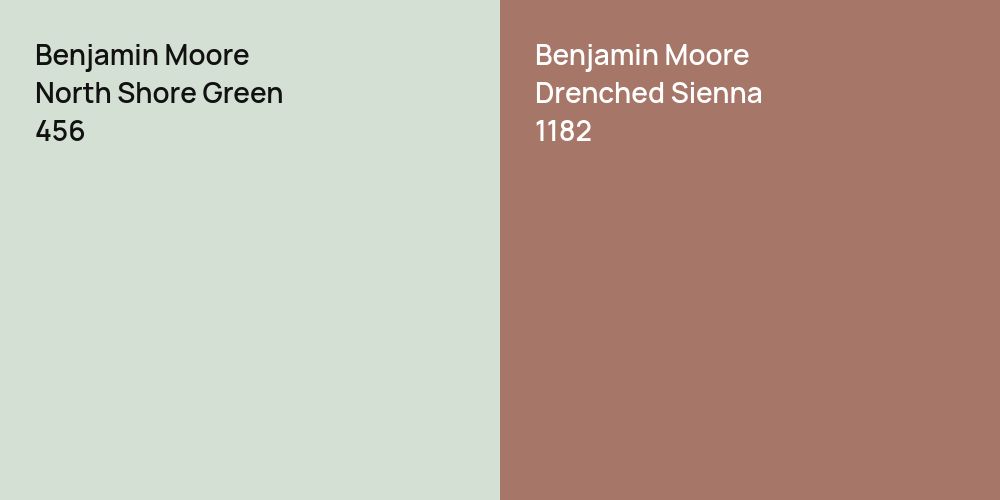 Benjamin Moore North Shore Green vs. Benjamin Moore Drenched Sienna