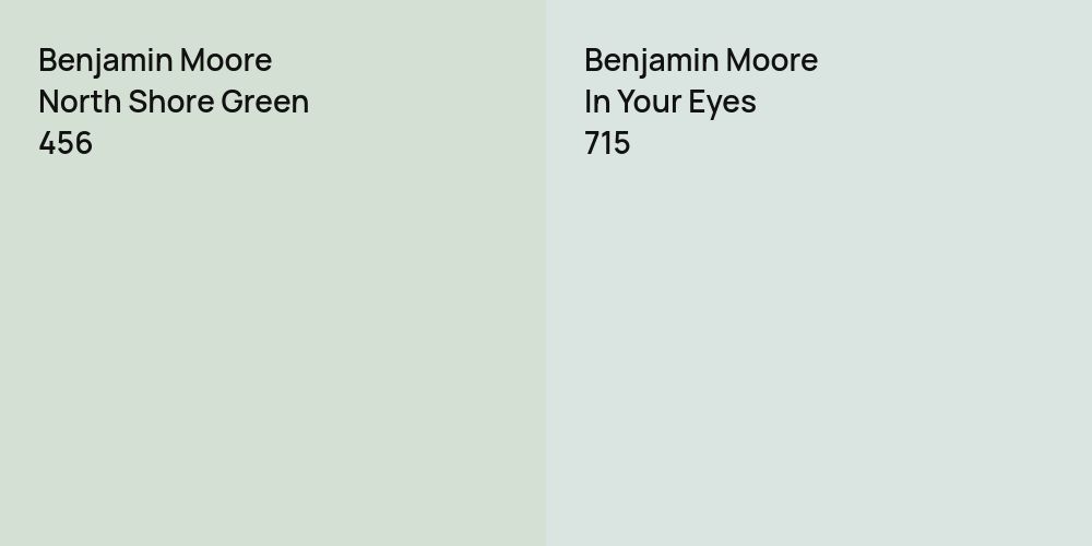 Benjamin Moore North Shore Green vs. Benjamin Moore In Your Eyes