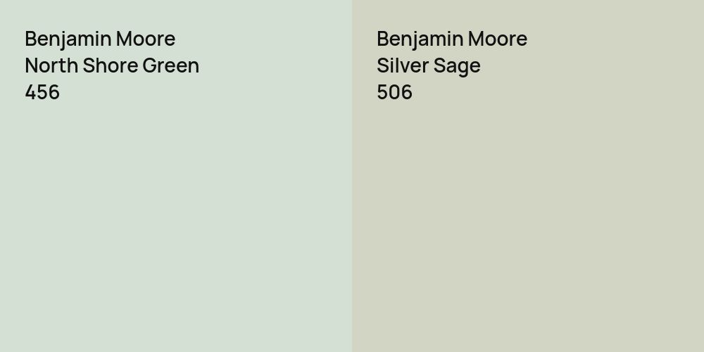 Benjamin Moore North Shore Green vs. Benjamin Moore Silver Sage