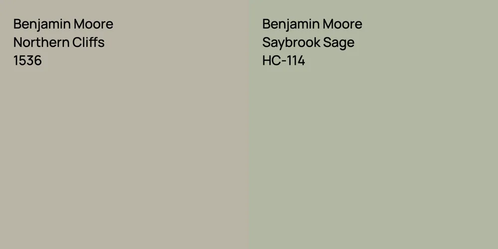 Benjamin Moore Northern Cliffs vs. Benjamin Moore Saybrook Sage