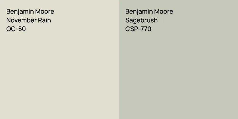 Benjamin Moore November Rain vs. Benjamin Moore Sagebrush