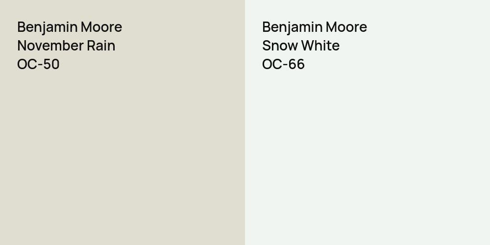 Benjamin Moore November Rain vs. Benjamin Moore Snow White