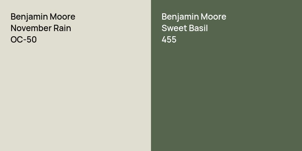 Benjamin Moore November Rain vs. Benjamin Moore Sweet Basil