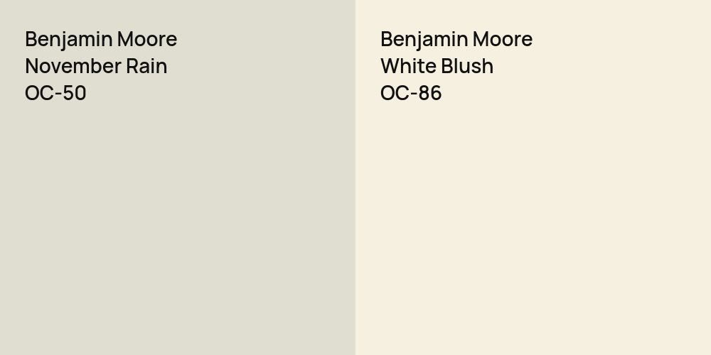 Benjamin Moore November Rain vs. Benjamin Moore White Blush