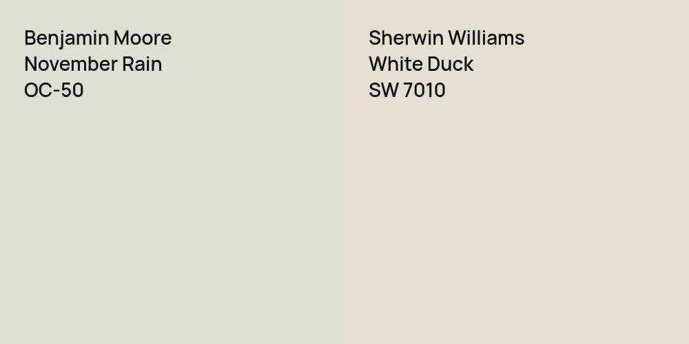 Benjamin Moore November Rain vs. Sherwin Williams White Duck