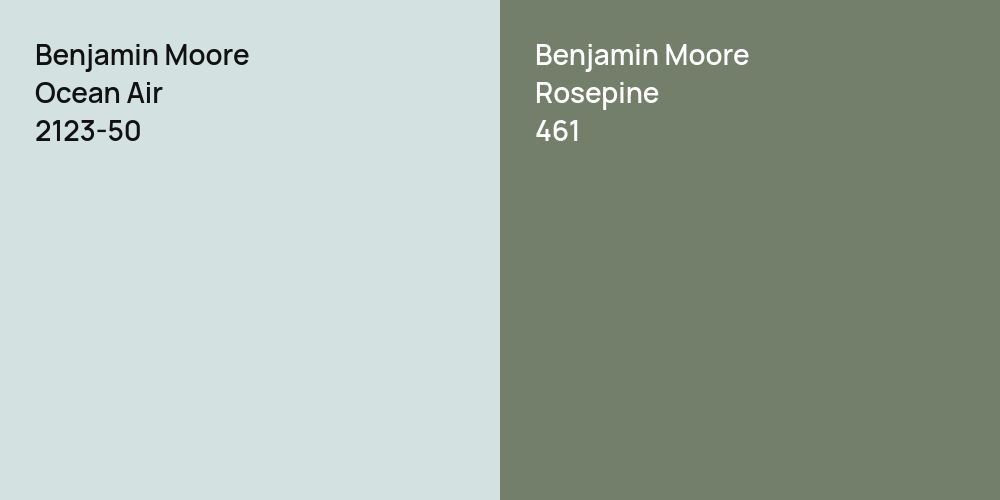 Benjamin Moore Ocean Air vs. Benjamin Moore Rosepine