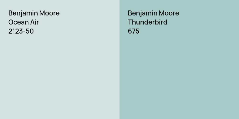 Benjamin Moore Ocean Air vs. Benjamin Moore Thunderbird