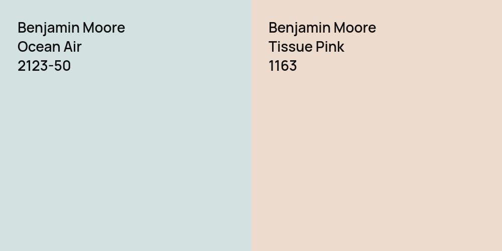 Benjamin Moore Ocean Air vs. Benjamin Moore Tissue Pink