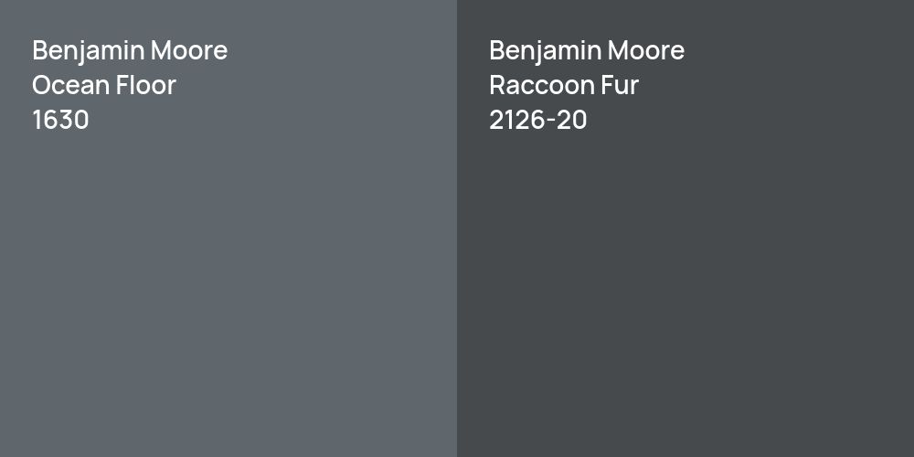 Benjamin Moore Ocean Floor vs. Benjamin Moore Raccoon Fur