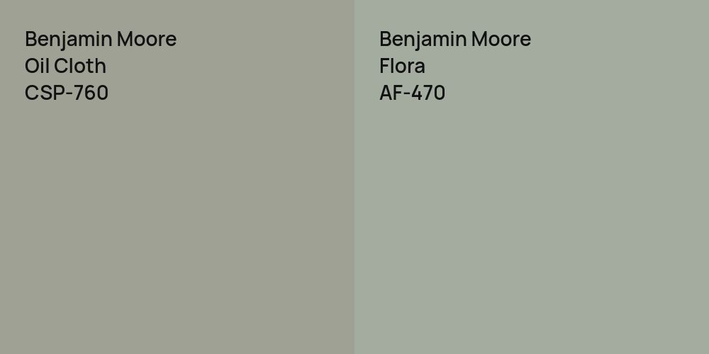 Benjamin Moore Oil Cloth vs. Benjamin Moore Flora