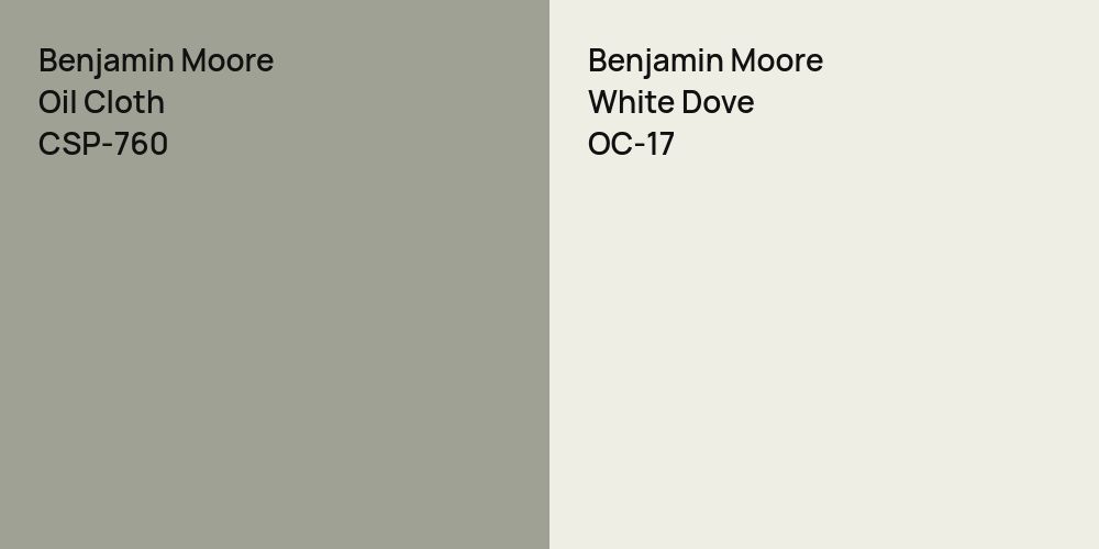 Benjamin Moore Oil Cloth vs. Benjamin Moore White Dove