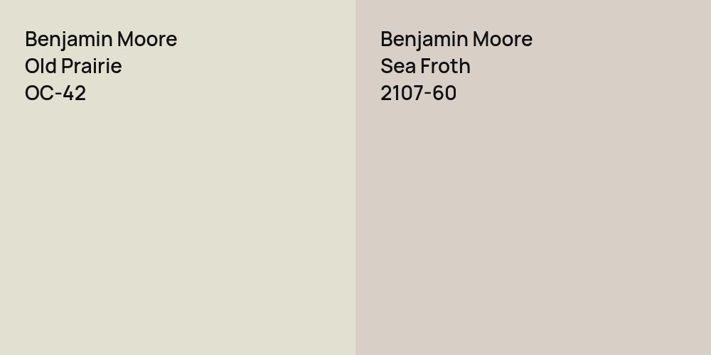 Benjamin Moore Old Prairie vs. Benjamin Moore Sea Froth