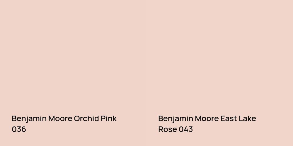 Benjamin Moore Orchid Pink vs. Benjamin Moore East Lake Rose