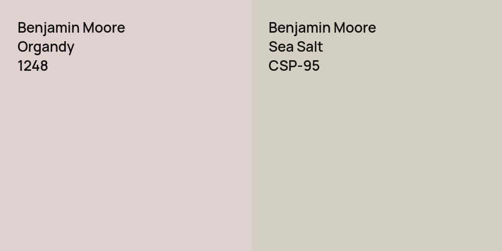 Benjamin Moore Organdy vs. Benjamin Moore Sea Salt