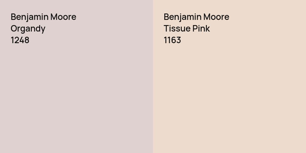 Benjamin Moore Organdy vs. Benjamin Moore Tissue Pink