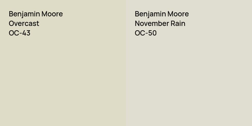 Benjamin Moore Overcast vs. Benjamin Moore November Rain