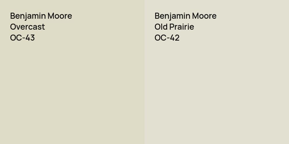 Benjamin Moore Overcast vs. Benjamin Moore Old Prairie