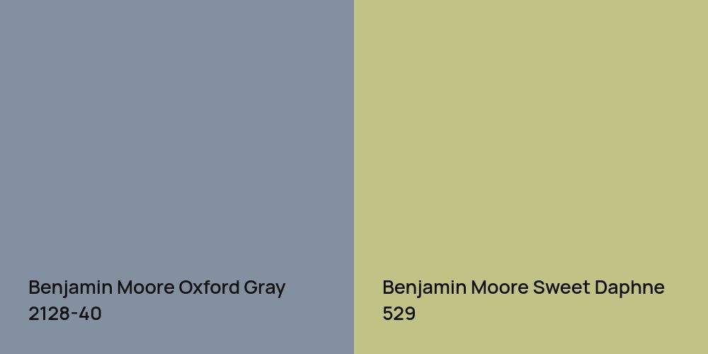 Benjamin Moore Oxford Gray vs. Benjamin Moore Sweet Daphne