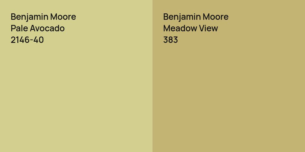 Benjamin Moore Pale Avocado vs. Benjamin Moore Meadow View