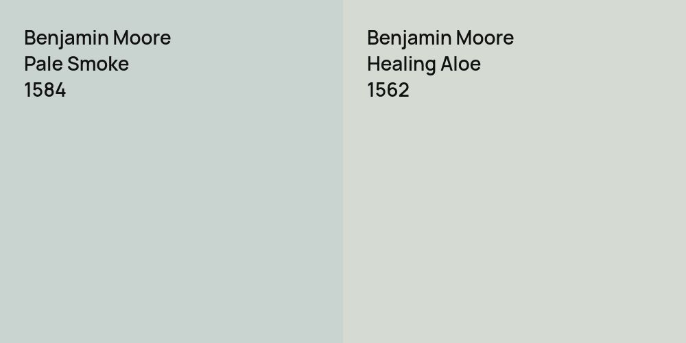 Benjamin Moore Pale Smoke vs. Benjamin Moore Healing Aloe