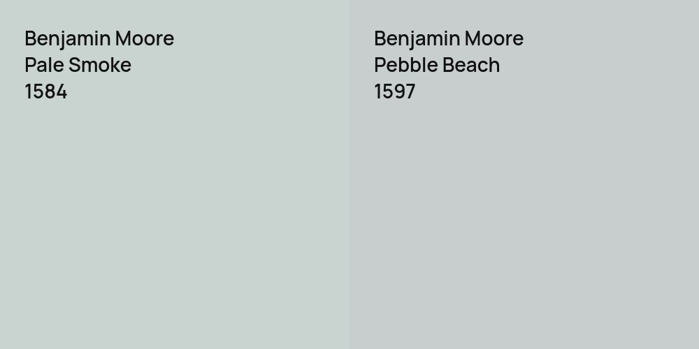 Benjamin Moore Pale Smoke vs. Benjamin Moore Pebble Beach