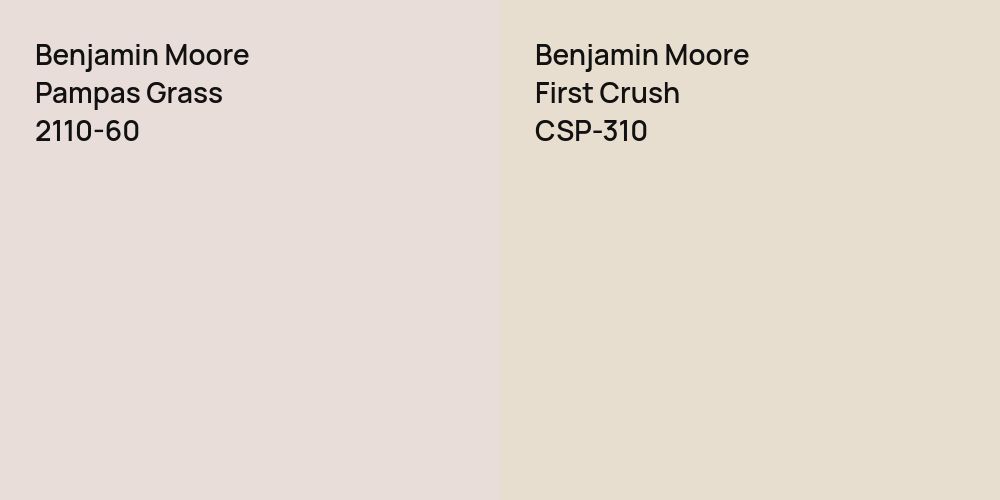 Benjamin Moore Pampas Grass vs. Benjamin Moore First Crush