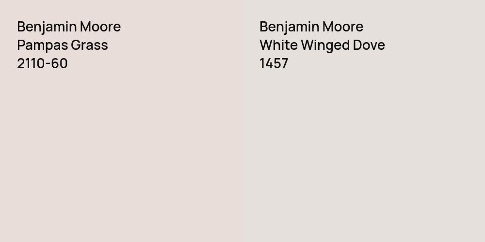 Benjamin Moore Pampas Grass vs. Benjamin Moore White Winged Dove