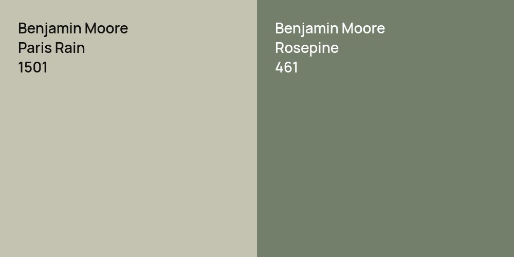 Benjamin Moore Paris Rain vs. Benjamin Moore Rosepine