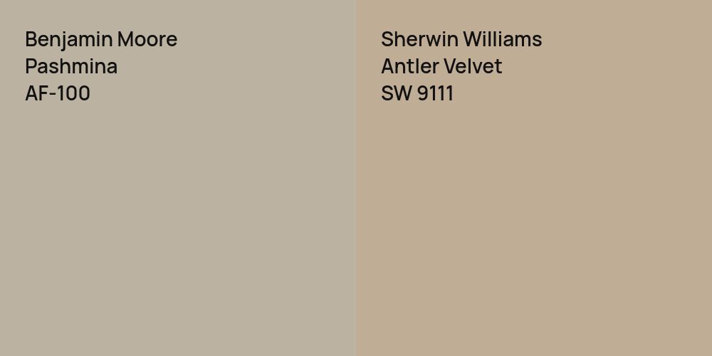 Benjamin Moore Pashmina vs. Sherwin Williams Antler Velvet