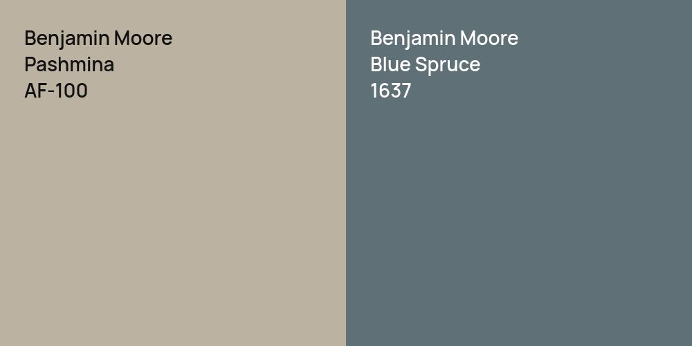 Benjamin Moore Pashmina vs. Benjamin Moore Blue Spruce