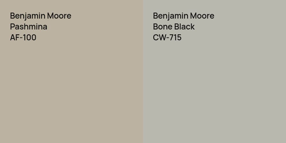 Benjamin Moore Pashmina vs. Benjamin Moore Bone Black