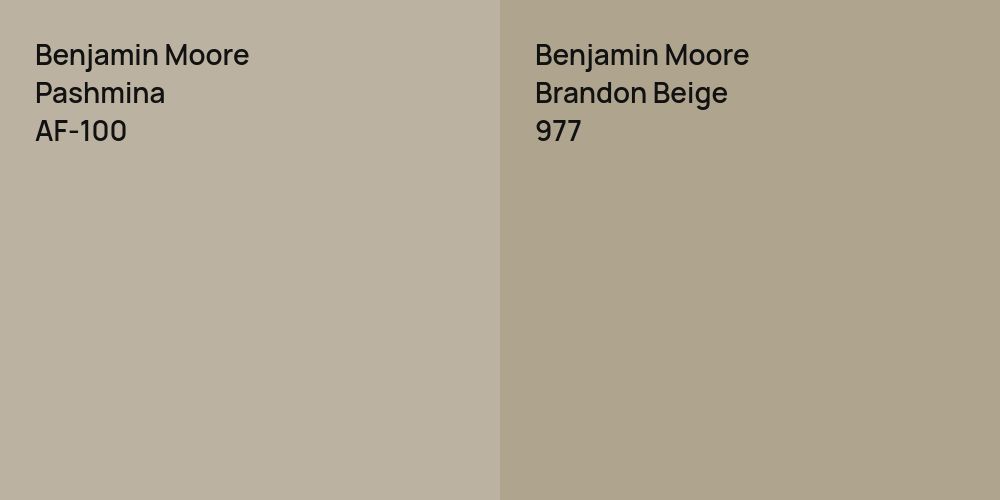 Benjamin Moore Pashmina vs. Benjamin Moore Brandon Beige