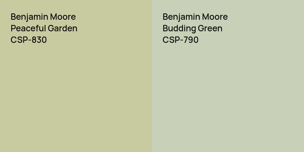 Benjamin Moore Peaceful Garden vs. Benjamin Moore Budding Green