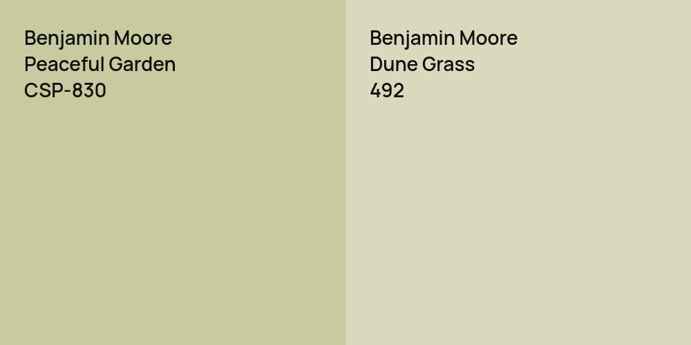 Benjamin Moore Peaceful Garden vs. Benjamin Moore Dune Grass