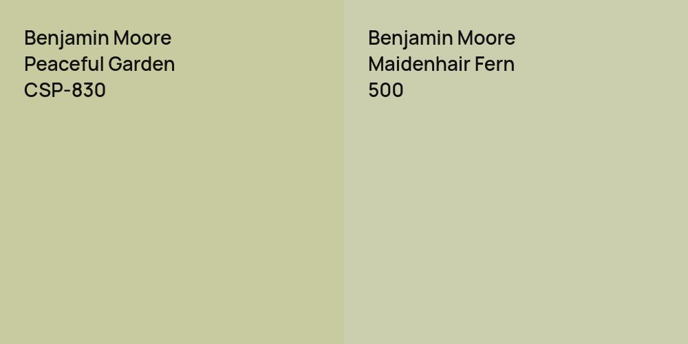 Benjamin Moore Peaceful Garden vs. Benjamin Moore Maidenhair Fern