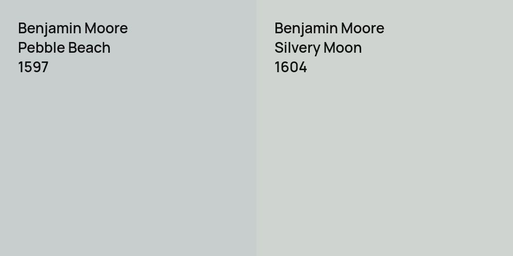 Benjamin Moore Pebble Beach vs. Benjamin Moore Silvery Moon