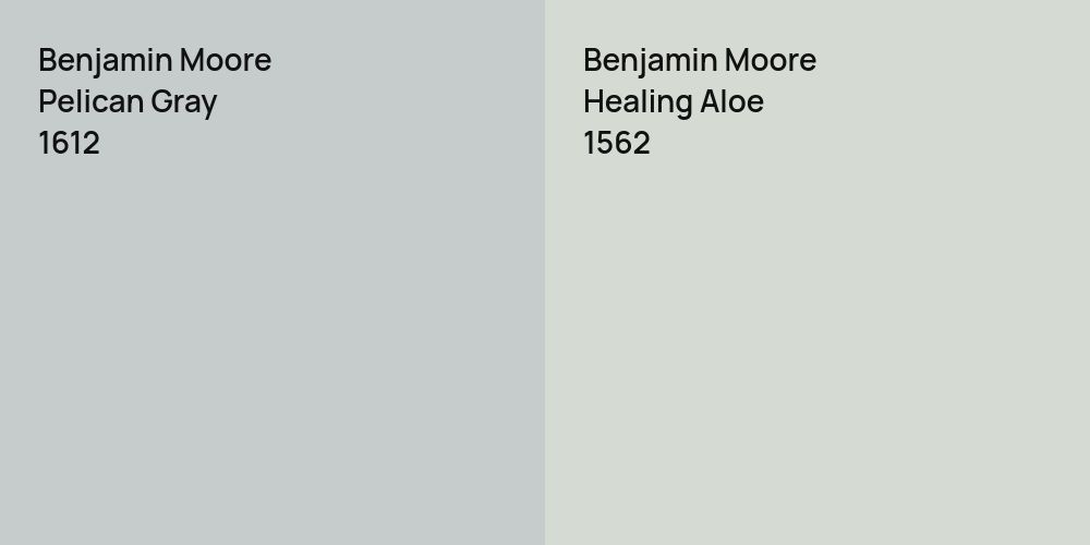 Benjamin Moore Pelican Gray vs. Benjamin Moore Healing Aloe