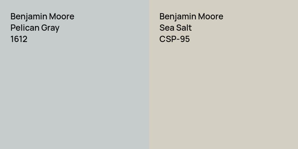 Benjamin Moore Pelican Gray vs. Benjamin Moore Sea Salt