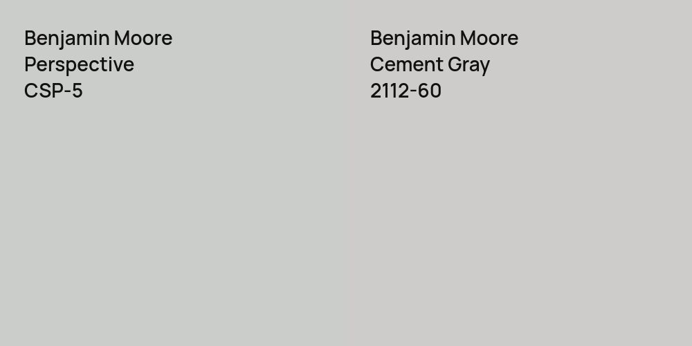 Benjamin Moore Perspective vs. Benjamin Moore Cement Gray