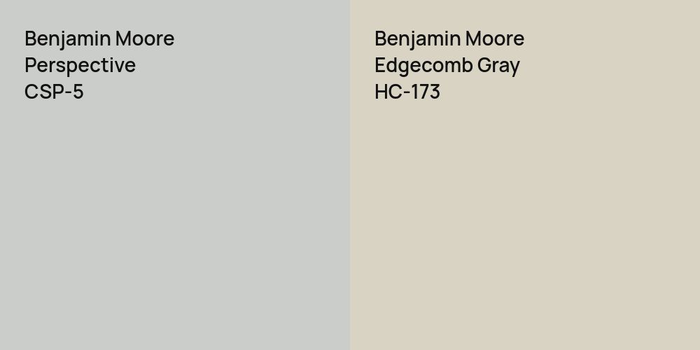 Benjamin Moore Perspective vs. Benjamin Moore Edgecomb Gray