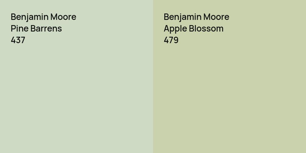 Benjamin Moore Pine Barrens vs. Benjamin Moore Apple Blossom