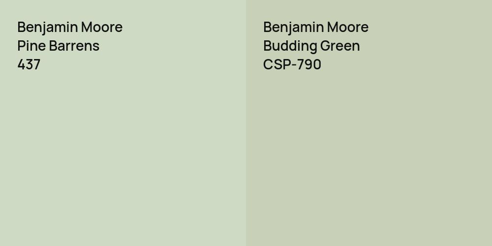 Benjamin Moore Pine Barrens vs. Benjamin Moore Budding Green