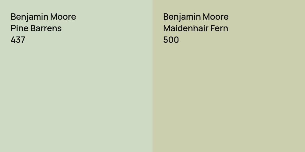 Benjamin Moore Pine Barrens vs. Benjamin Moore Maidenhair Fern