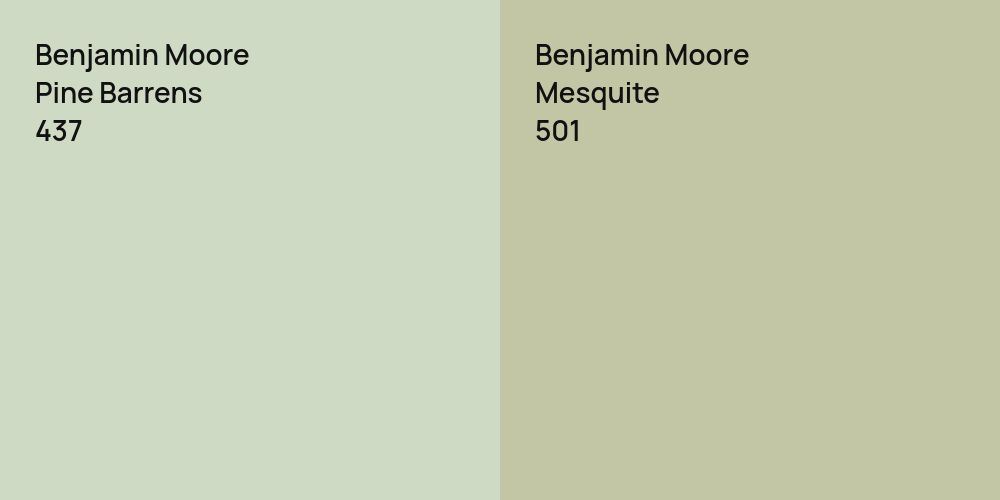 Benjamin Moore Pine Barrens vs. Benjamin Moore Mesquite