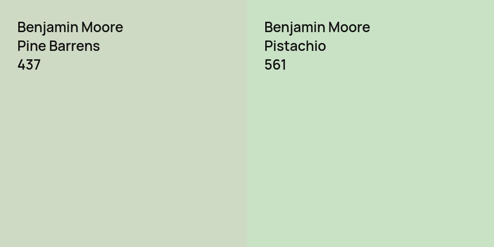 Benjamin Moore Pine Barrens vs. Benjamin Moore Pistachio