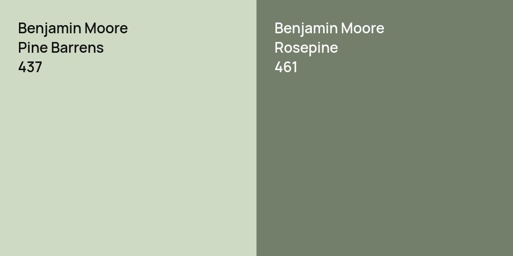 Benjamin Moore Pine Barrens vs. Benjamin Moore Rosepine