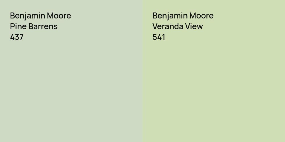 Benjamin Moore Pine Barrens vs. Benjamin Moore Veranda View